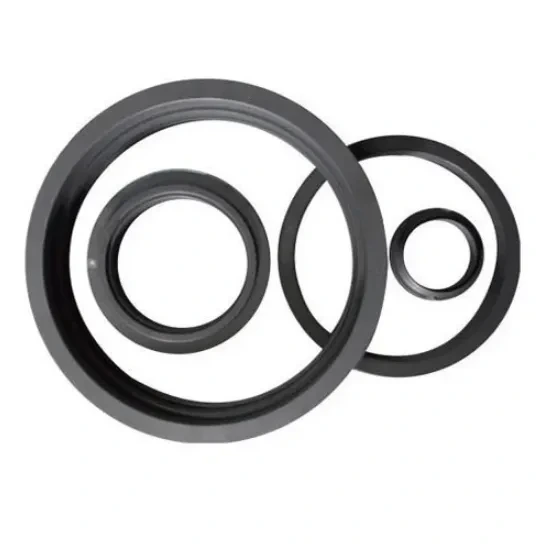 Graphite Seal Ring (1)