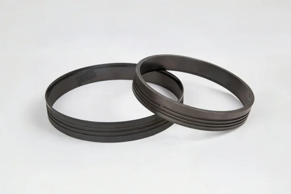 Oil Gas Lubricated Graphite Ring